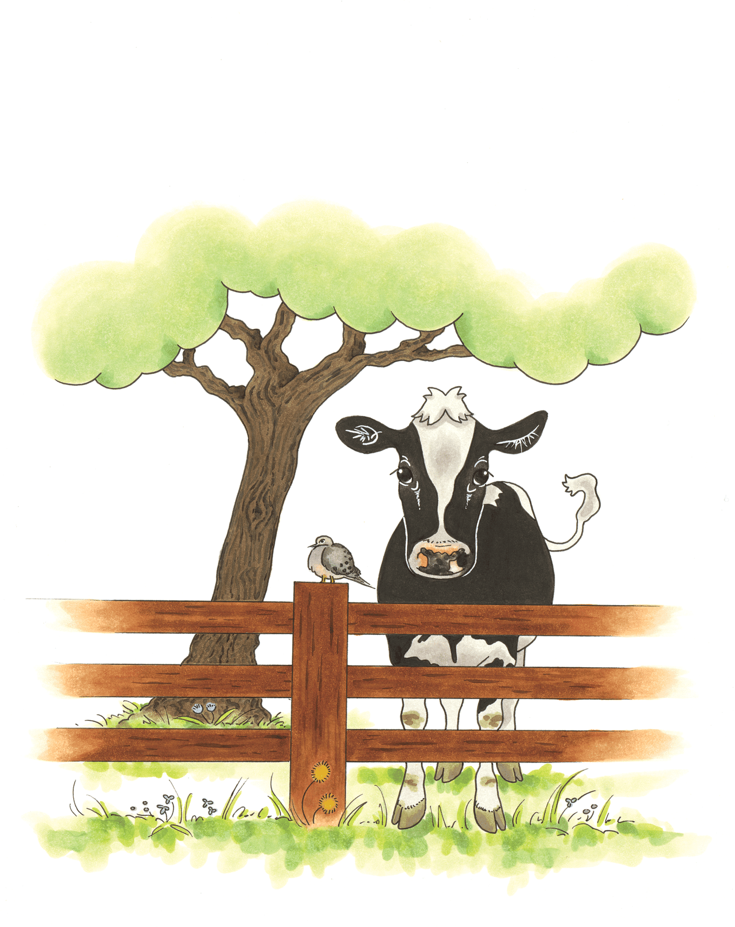 Bruce On The Loose Illustration Book